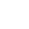 L1